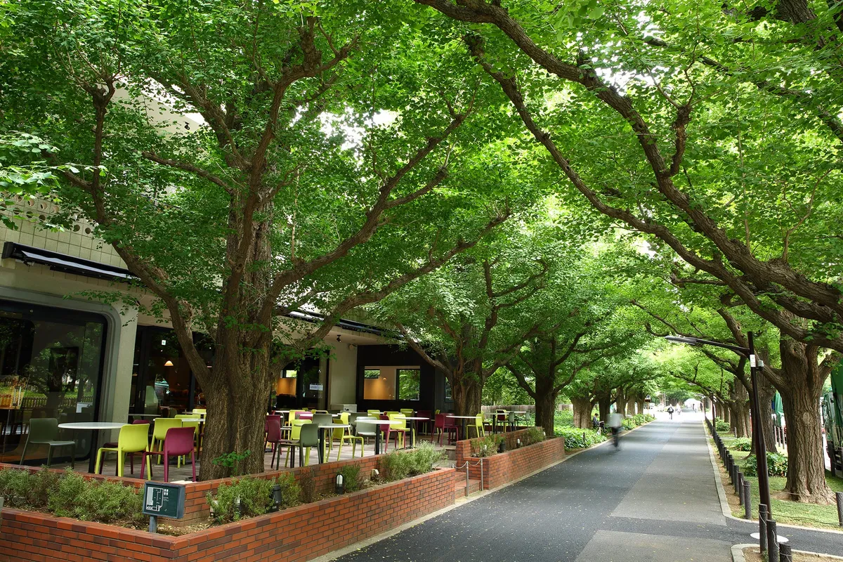 キハチ 青山本店の外観