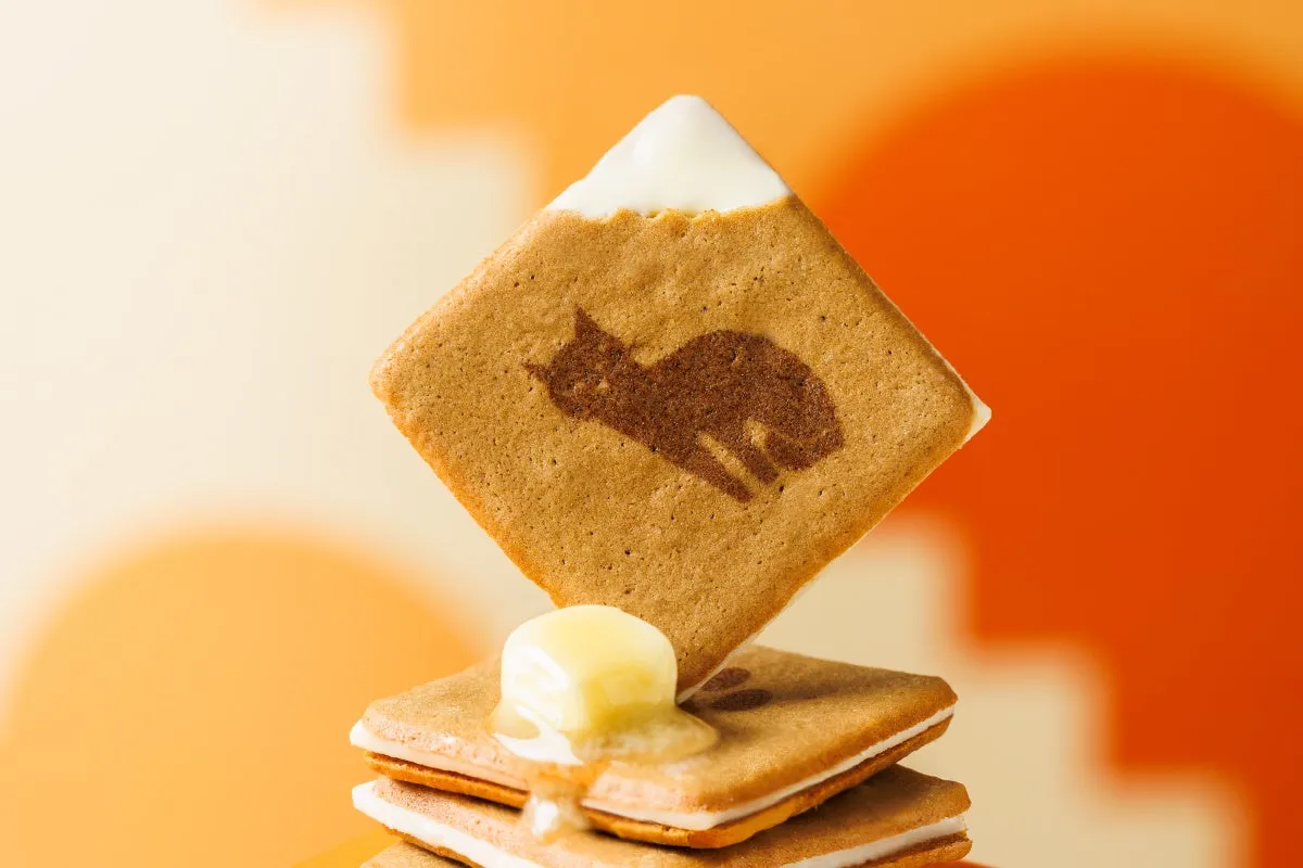 グラスフェッドバターがとろける猫プリントのラングドシャ