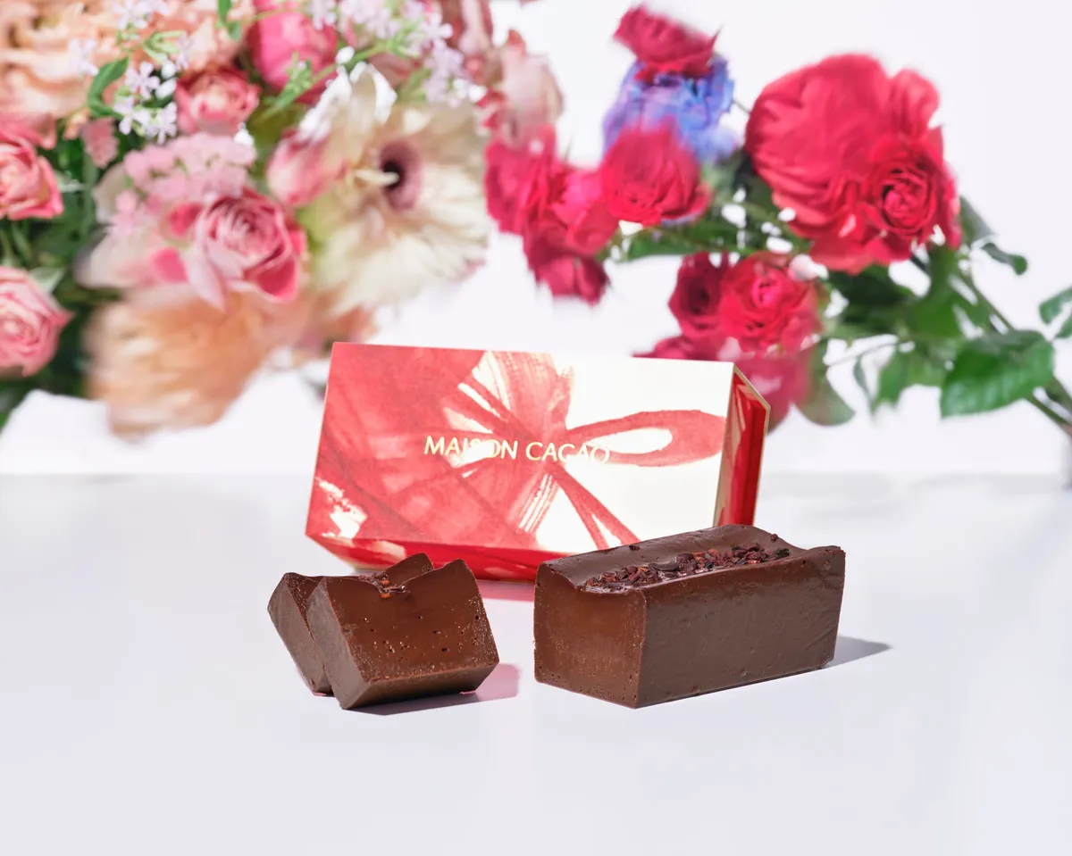 赤いリボンが描かれた箱と濃厚な生ガトーショコラ