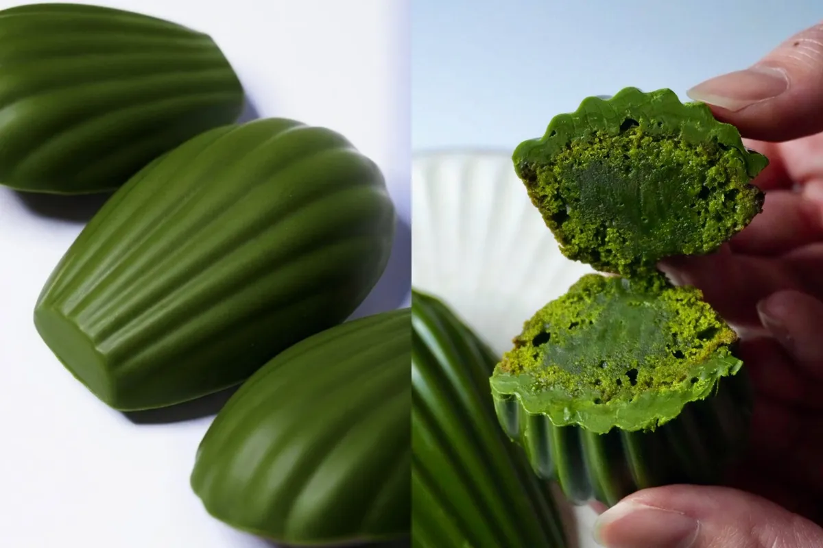 真緑色が美しいマドレーヌの断面と外観