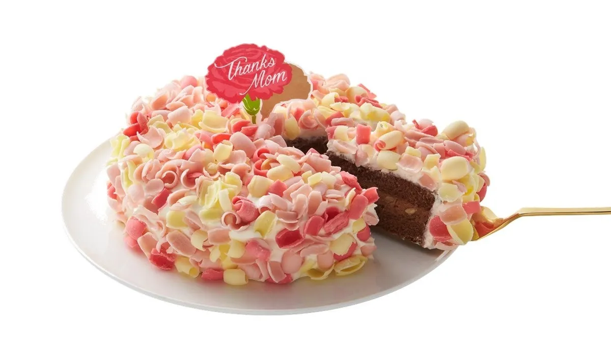 「マザーズデー グルノーブル」の断面。チョコレートスポンジとクリーム、ウォールナッツの層が確認できる。