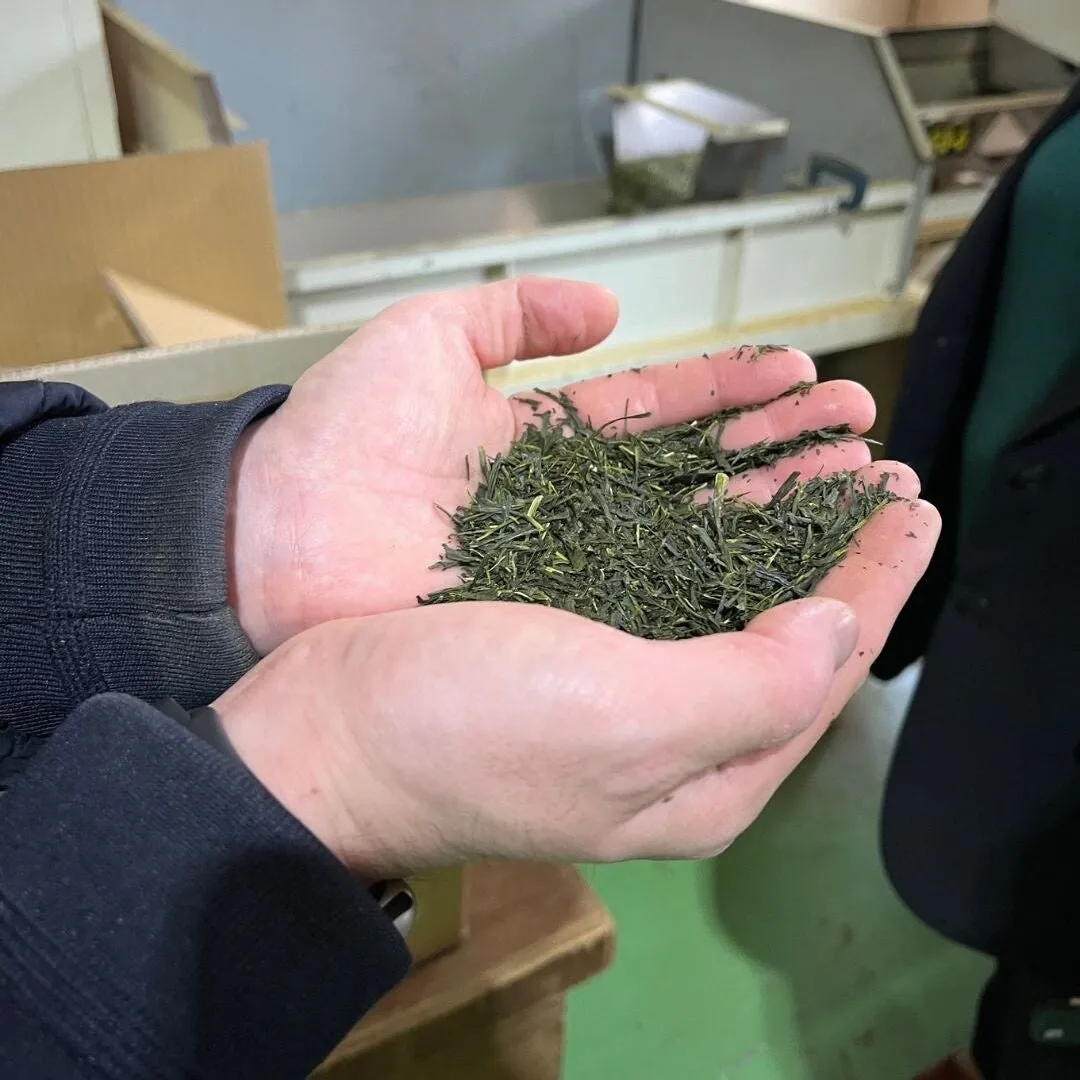 鮮やかな緑色が美しい厳選された茶葉