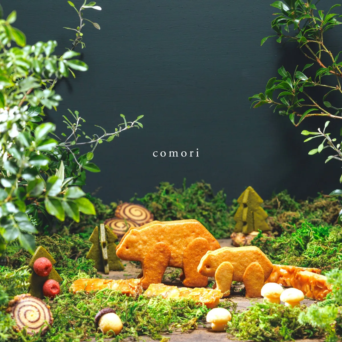 森の世界観を表現したクッキーの並び