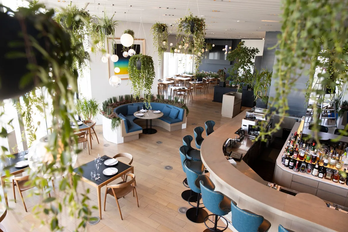 絶景と緑に包まれたTHE SUN & THE MOONの店内