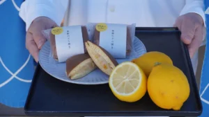 夏に食べたい!四角い塩どら焼き専門店「湯ノ塩」から爽やかな「塩レモンはちみつ」が期間限定で登場