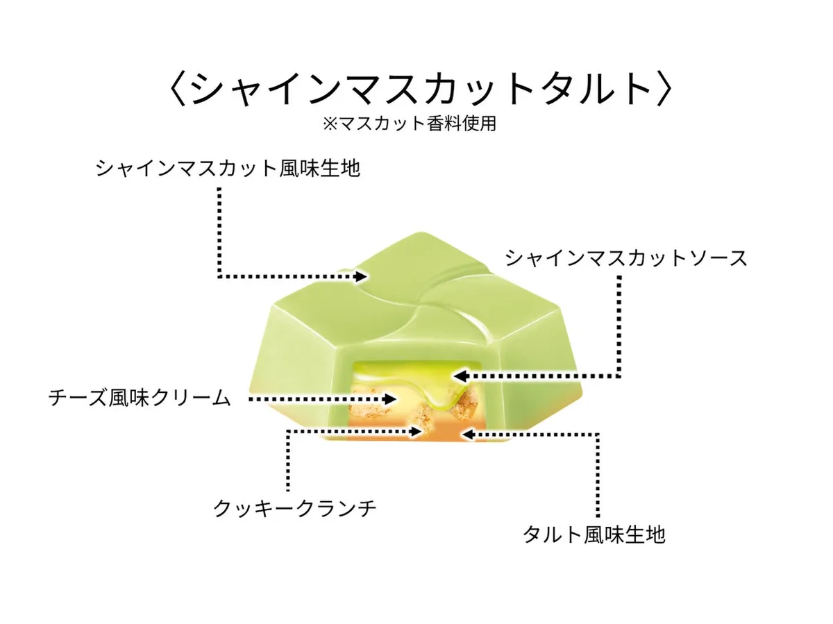 シャインマスカットタルトの構造を示す断面図