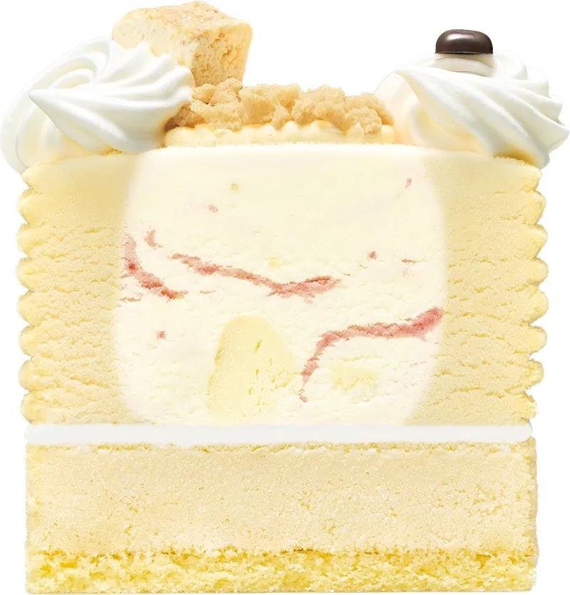 31 ザ・チーズケーキの断面図