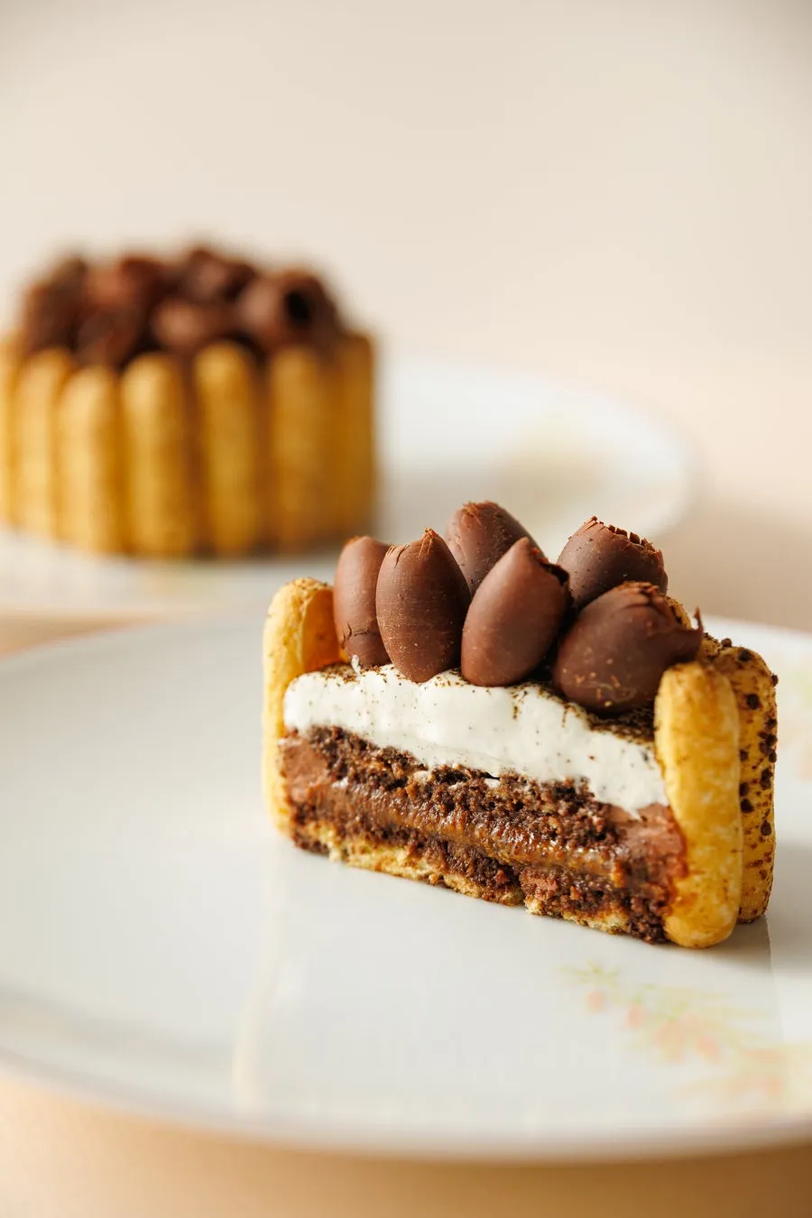 濃厚なチョコガナッシュとクリームの層が美しいシャルロットの断面