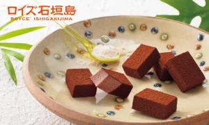 【ロイズ石垣島】沖縄県産きび糖のコクにうっとり!限定の生チョコ&ピュアチョコが新発売