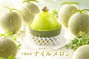 糖度17度の衝撃!お菓子のたいよう「メロンボート」が3日間限定で登場。幻のナイルメロンを丸ごと贅沢に