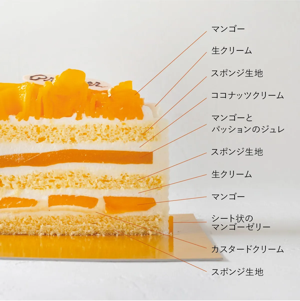 Premierマンゴーの層を詳しく解説した断面図