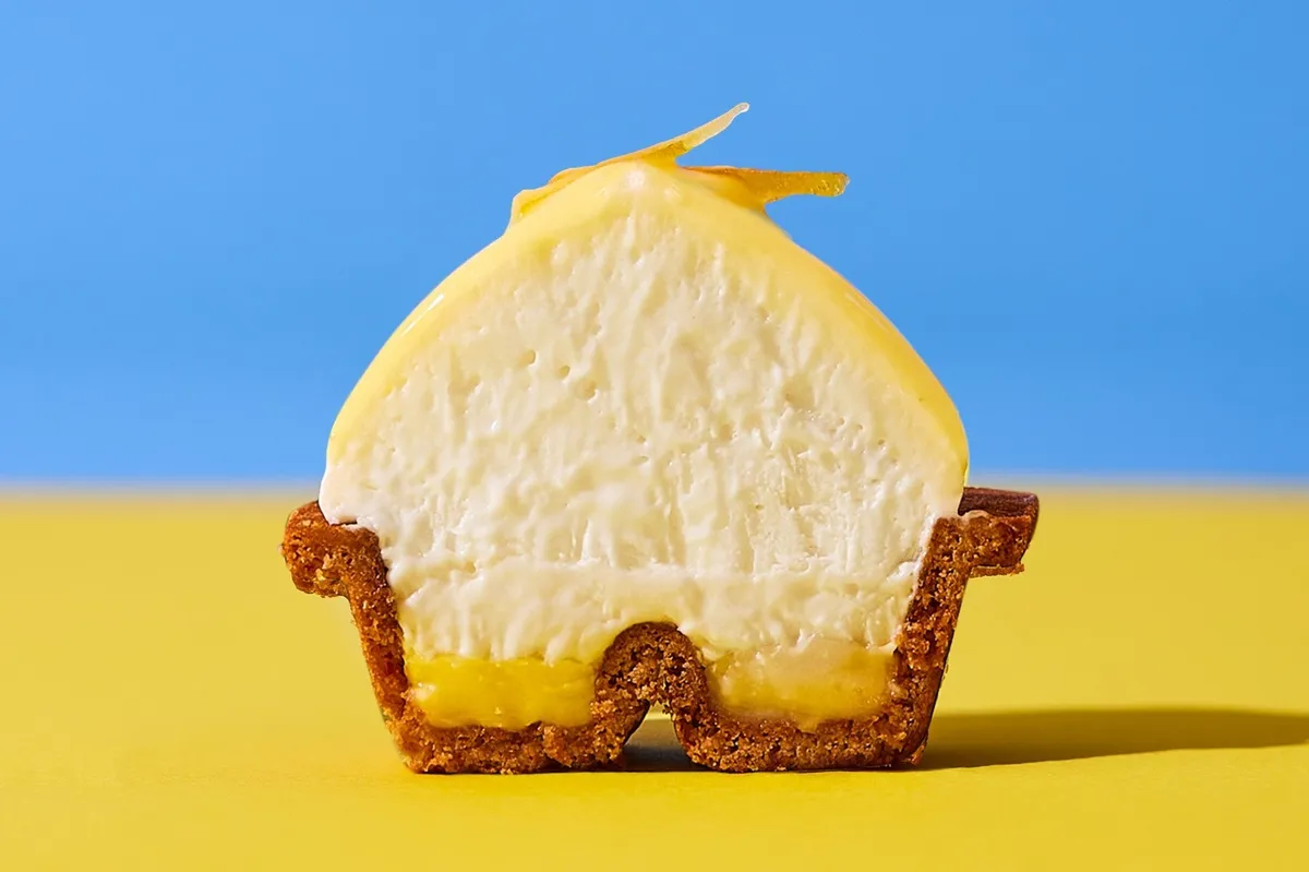 CHEESE WONDER YELLOWの美しい断面図