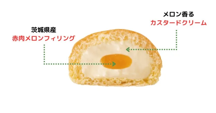 メロン香るカスタードクリームと赤肉メロンフィリングの構造を示した断面図