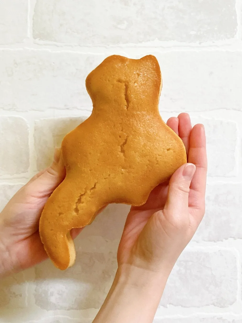 手のひらからはみ出すほど大きな20cmサイズのびわこフィナンシェ