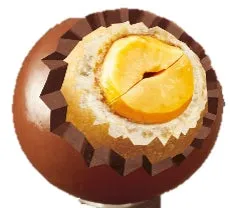 ザクザクチョコボールの断面図