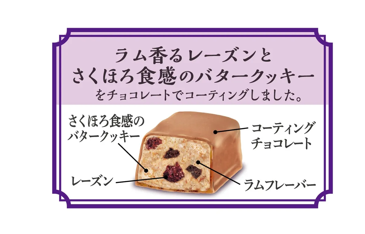 レーズンやバタークッキーの層がわかる商品の構造解説図