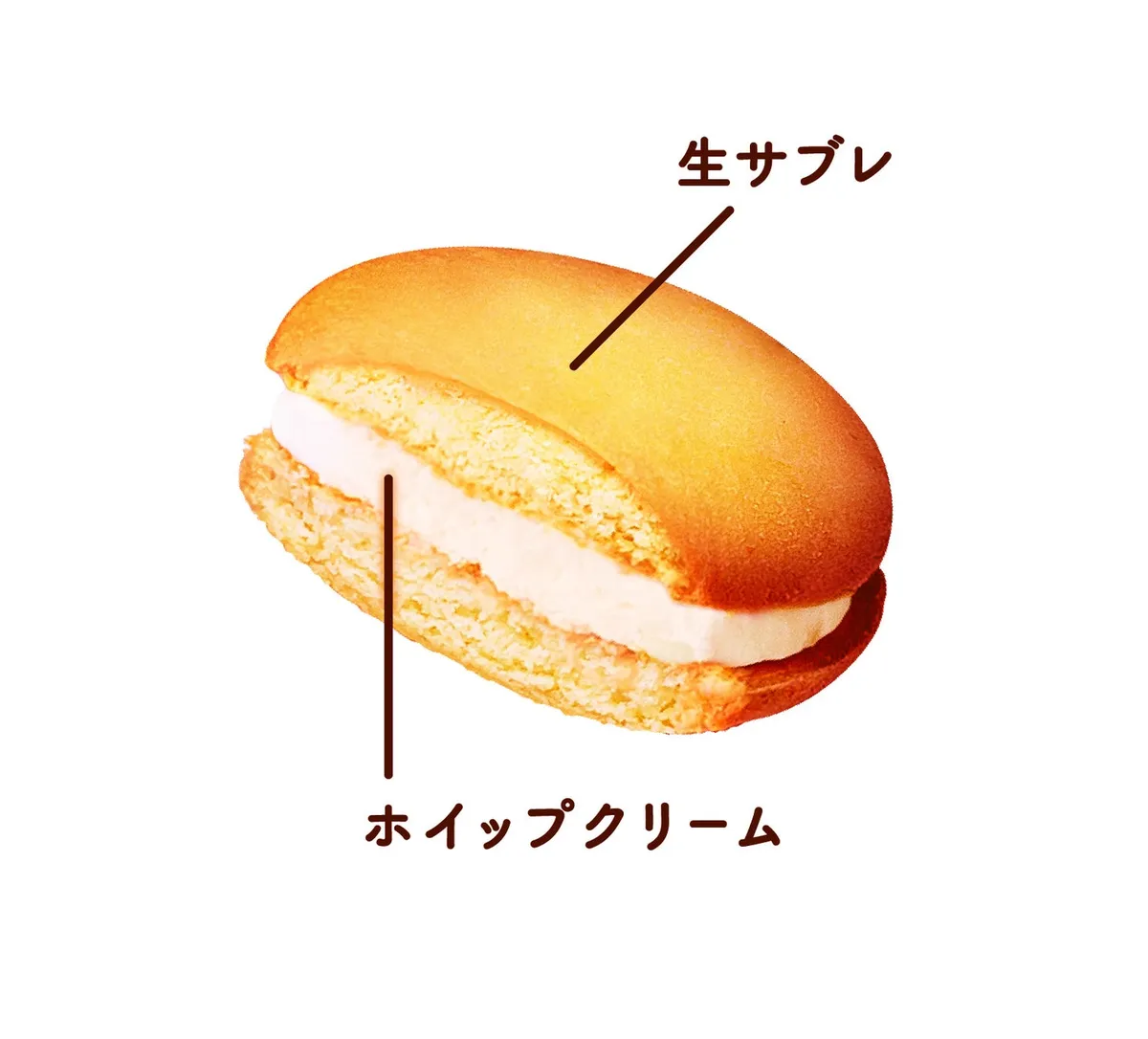 しっとりとした生サブレ生地に真っ白なホイップクリームをサンドした断面
