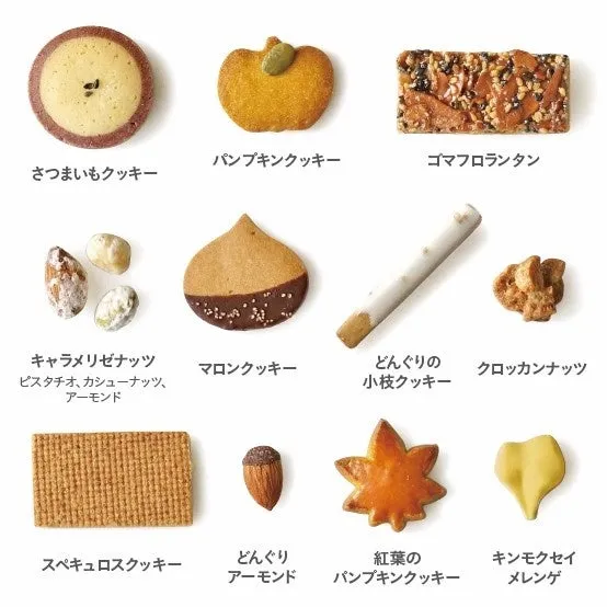 11種類の個性豊かなクッキーたち